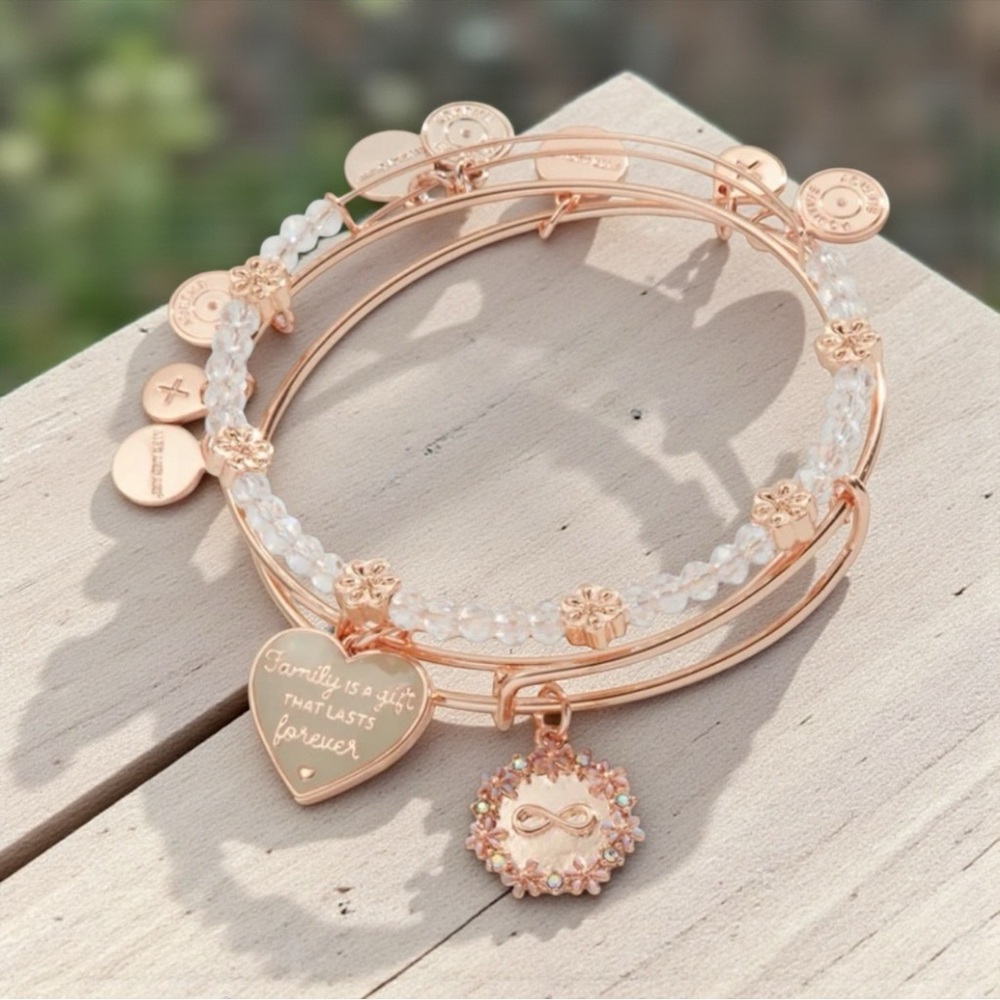 💕ALEX & ANI💕Family Is A Gift That Lasts Forever' Charm Bangle Bracelet Set/NWOT